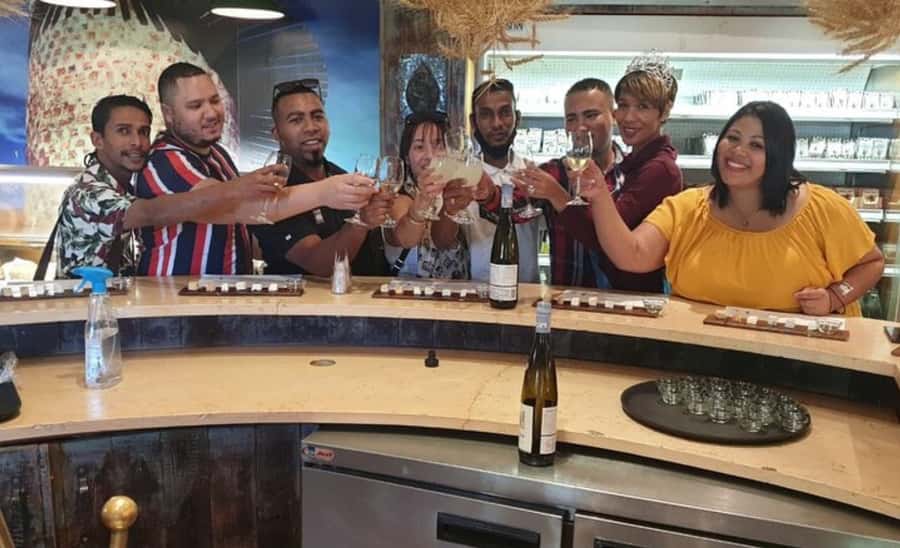 Stellenbosch: Half-Day Wine Tour - Who Should Book This Tour?