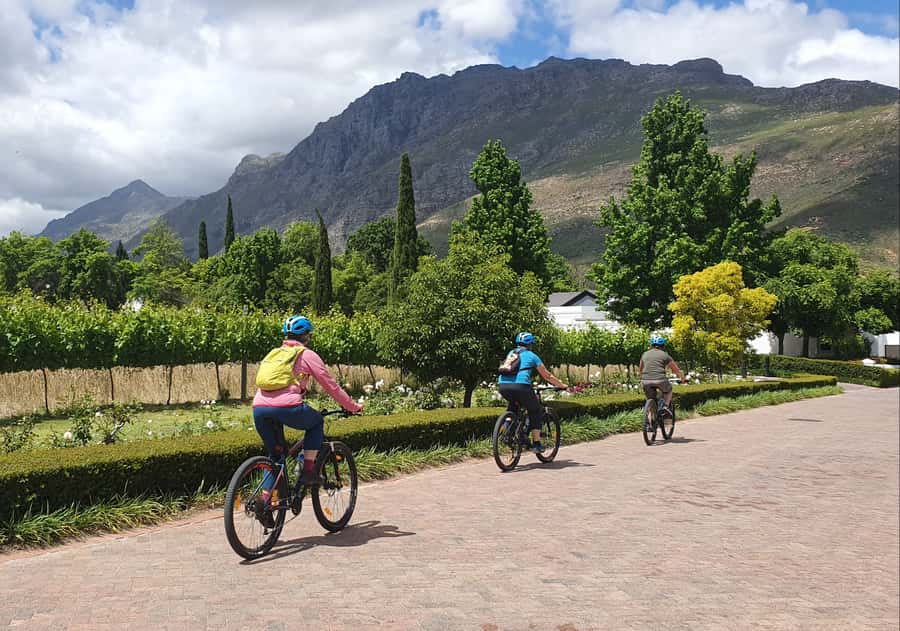 Stellenbosch: Historical Bike Tour & Wine Tasting - Guides who make the difference