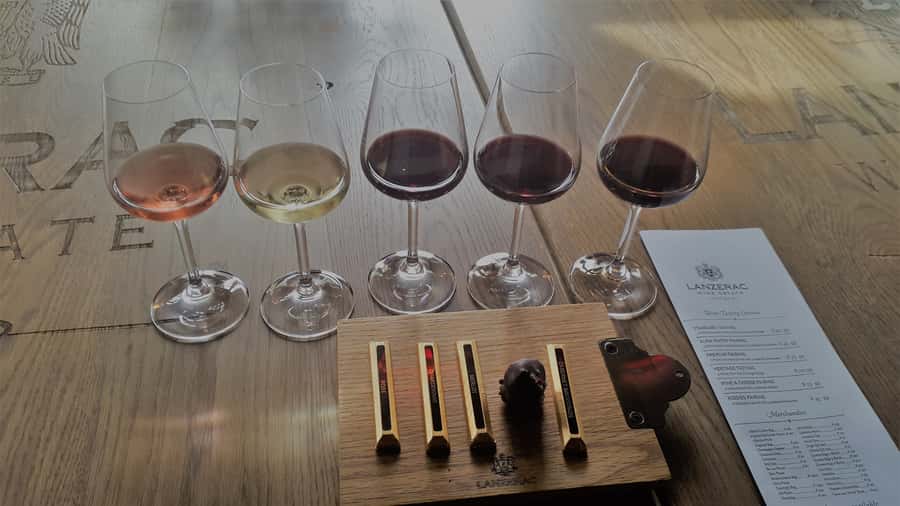 Stellenbosch: Historical Bike Tour & Wine Tasting - Is $92 a fair price?