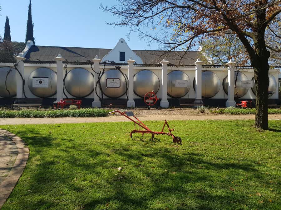 Stellenbosch: Hop-On Hop-Off Northern Route Wine Tour - Delheim for a memorable food pairing