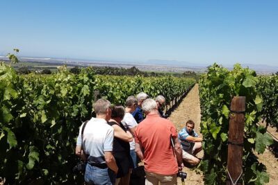 Stellenbosch Valley. Private wine tour with winemaker in Swedish or English.