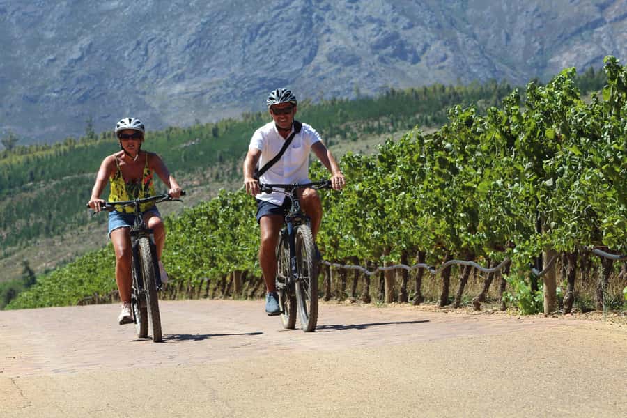 Stellenbosch: Wine Farm E-Bike Guided Tour - Key points to know before booking
