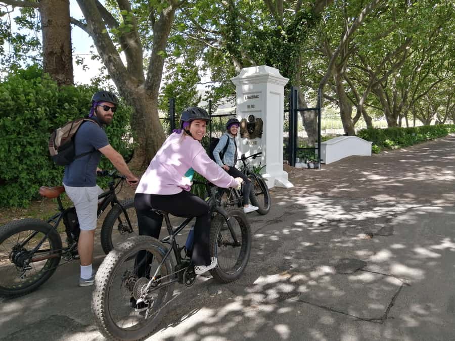 Stellenbosch: Wine Farm E-Bike Guided Tour - The first wine-farm stop, with 30 to 45 minutes to explore