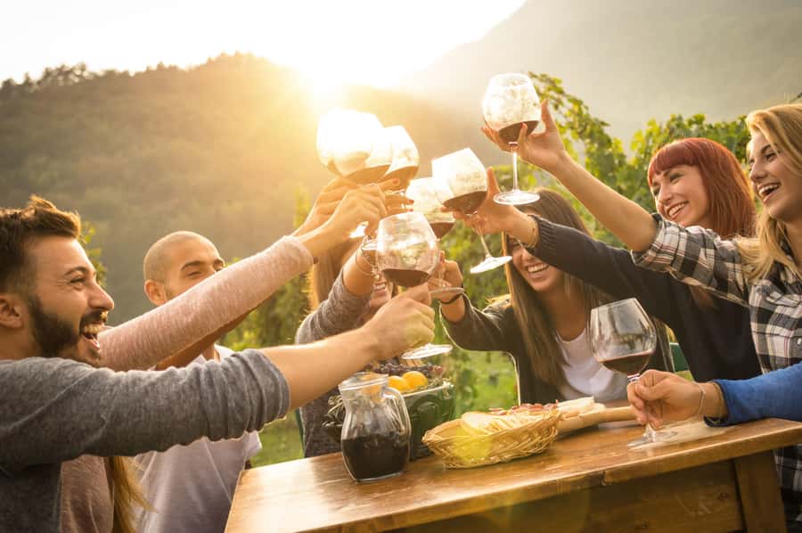 Stellenbosch: Wine Farm E-Bike Guided Tour - Small-group atmosphere and guide quality