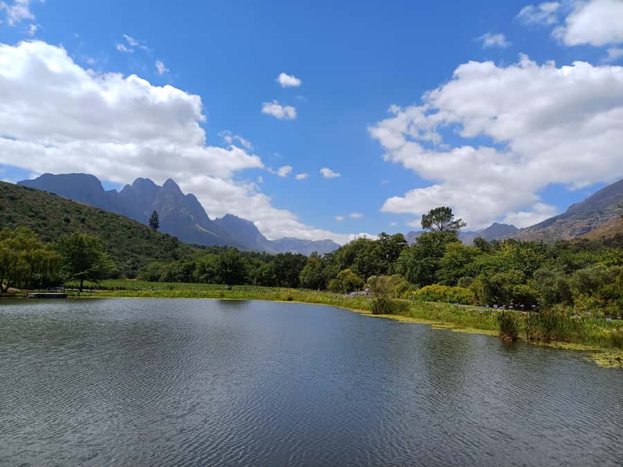 Stellenbosch wine tour, all inclusive of lunch and tastings. - Key points at a glance
