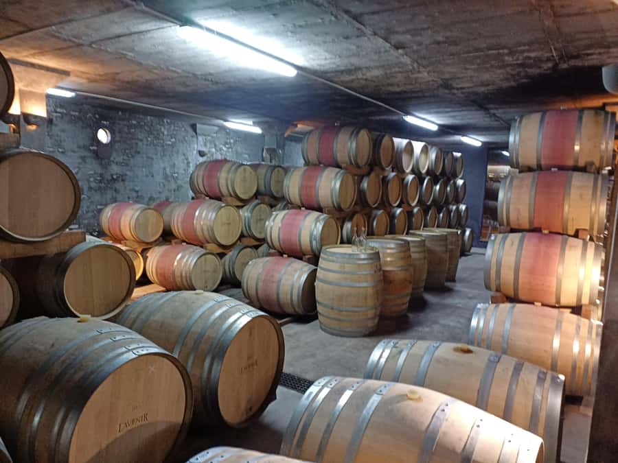 Stellenbosch wine tour, all inclusive of lunch and tastings. - Cellar time and the gap between vineyard and bottle