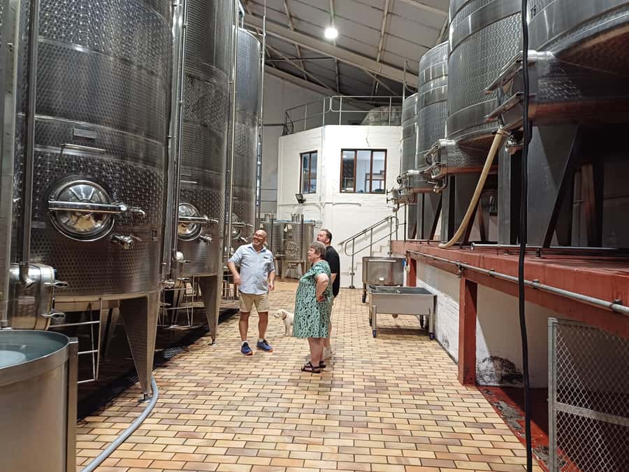 Stellenbosch wine tour, all inclusive of lunch and tastings. - Cheese pairing: tasting wine with food