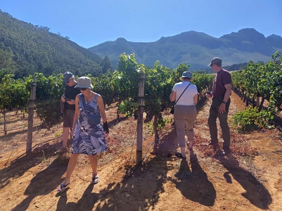 Stellenbosch wine tour, all inclusive of lunch and tastings. - Who will enjoy this tour most