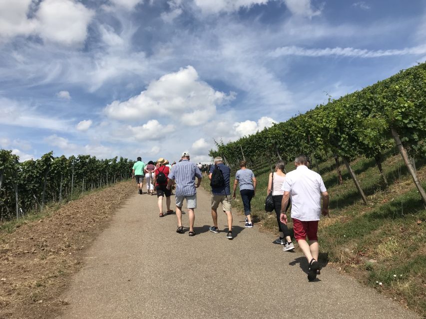 Stuttgart: Guided Wine Walk & Wine Tasting - The second tasting and included snack