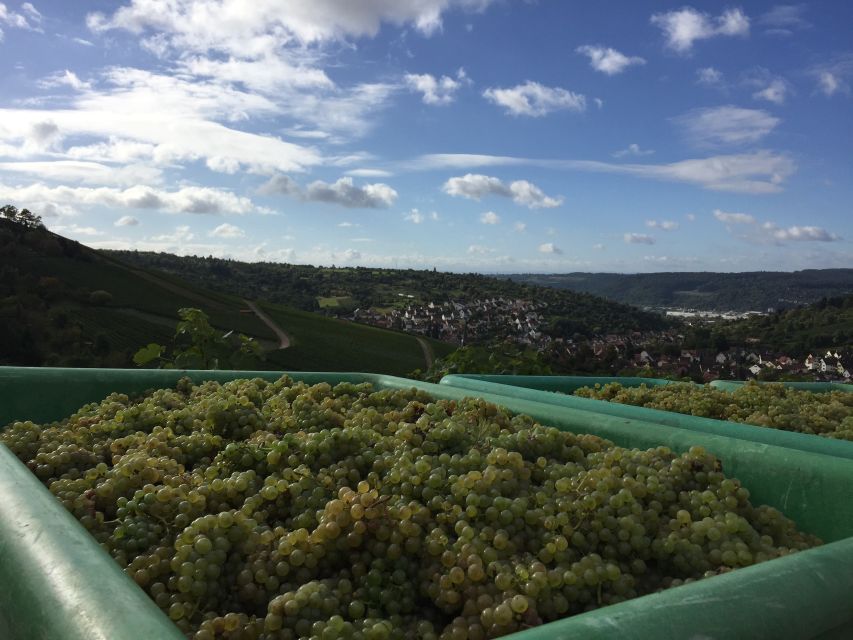 Stuttgart: Guided Wine Walk & Wine Tasting - Who will enjoy this 150-minute outing