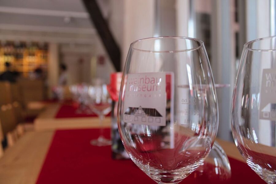 Stuttgart: Stuttgart Wine Museum Wine Tasting - Key points at a glance