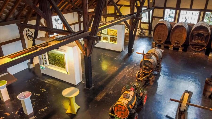 Stuttgart: Stuttgart Wine Museum Wine Tasting - Local grape varieties explained in plain terms