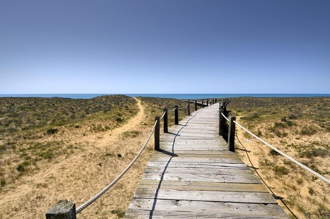 Sunset Beach Safari w/ Champagne & Chicken Piri Piri Dinner - Key Points to Know Before You Go