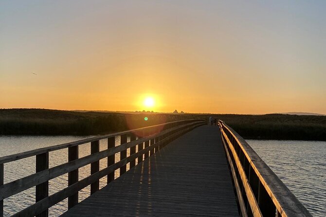 Sunset Beach Safari w/ Champagne & Chicken Piri Piri Dinner - What This Albufeira Evening Safari Is Really Like