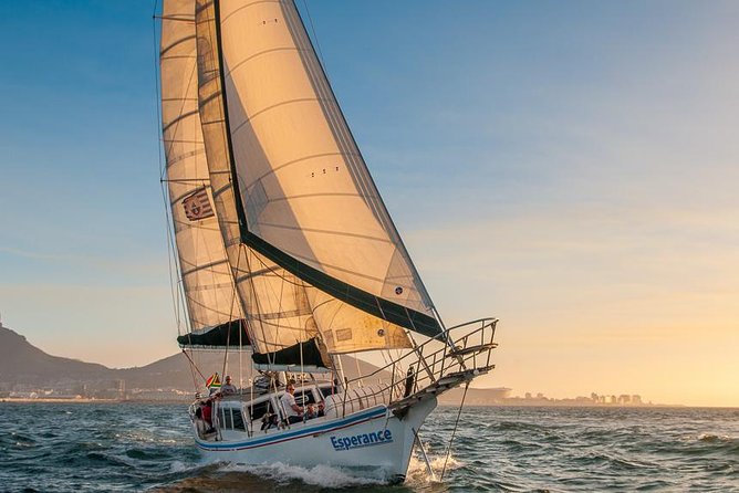 Sunset Champagne Cruise from Cape Town - Is $39.11 good value?