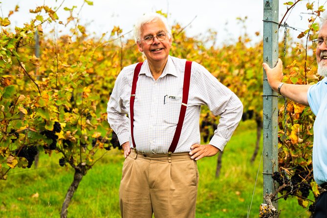 Sussex Vineyard & Winery Bus Tour on Iconic Vintage London Bus - Starting in Brighton on a vintage Routemaster