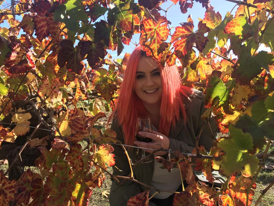 Swan Valley: Out for the Afternoon Wine Tasting with Lunch - Who should book this experience?
