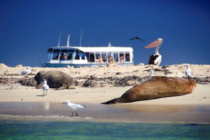 Swan Valley Wine Cruise - Who should book this cruise?