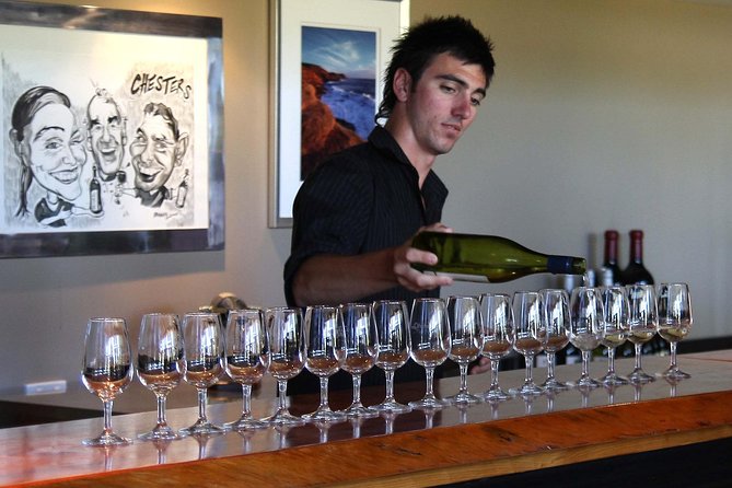 Swan Valley Winery Experience - Full Day Coach Tour - Guides Make the Shared Coach Feel Friendly