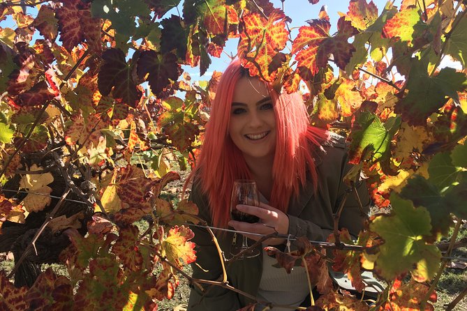 Swan Valley Winery Experience - Full Day Coach Tour - Four Wineries, From Large Cellar Doors to Family Producers