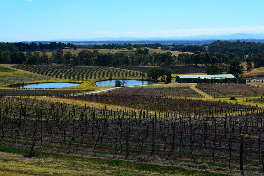 Sydney: Chef-Led Hunter Valley Food & Wine Tour - Why this Sydney to Hunter Valley day works