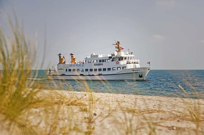 Sylt: Shell safari with boat | incl. Mussel tasting & 1 glass of wine - Key points at a glance