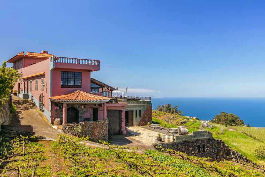 Tacoronte: Guided Winery Tour with Wine and Cheese Tastings - What you see during the winery visit