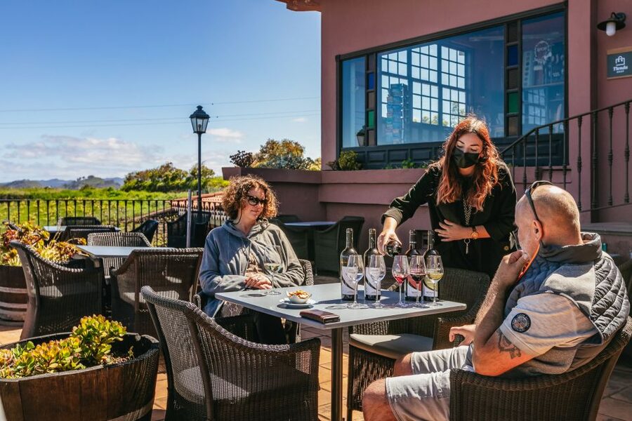 Tacoronte: Guided Winery Tour with Wine and Cheese Tastings - Is $41 a fair price?