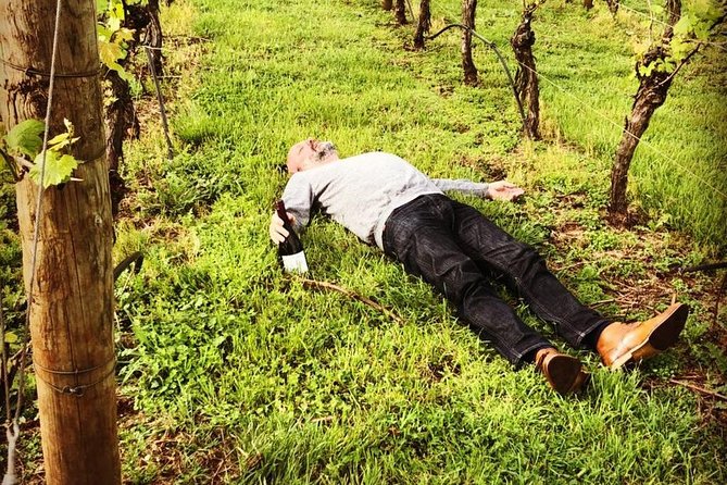Tamar Valley Wine Tour with Lunch - Who should book this Tamar Valley outing?