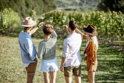 Guided Etna Wine Tasting Half-Day Tour