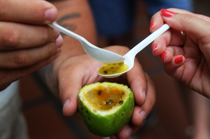 Taste Funchal: food, wine & cultural tour - Starting at R. do Sabão 65
