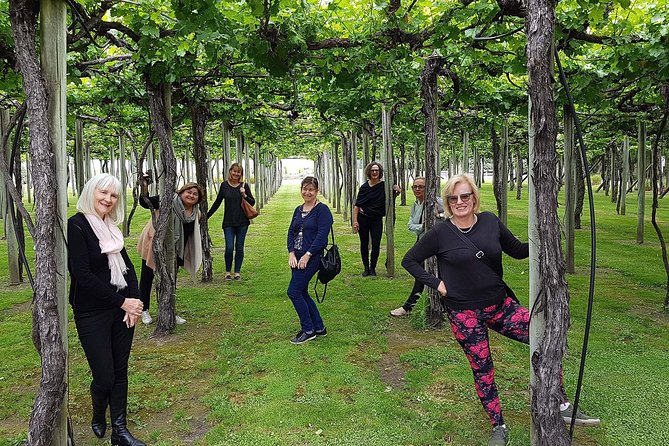 Taste the Valley Wine Tour in Marlborough with Wine Tasting - Should You Book the Marlborough Wine Tour?
