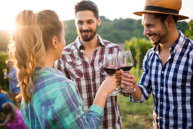 Taste + Tram the Winelands Tour: Franschhoek, Stellenbosch, Paarl - The Franschhoek Wine Tram is more than transport