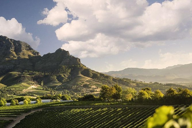 Taste + Tram the Winelands Tour: Franschhoek, Stellenbosch, Paarl - Is $189.79 good value?