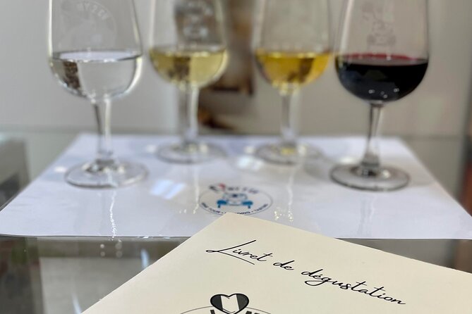 Tasting of 6 Bordeaux wines and pairing charcuterie & cheese - A Bordeaux wine lesson at 25 Av. Thiers