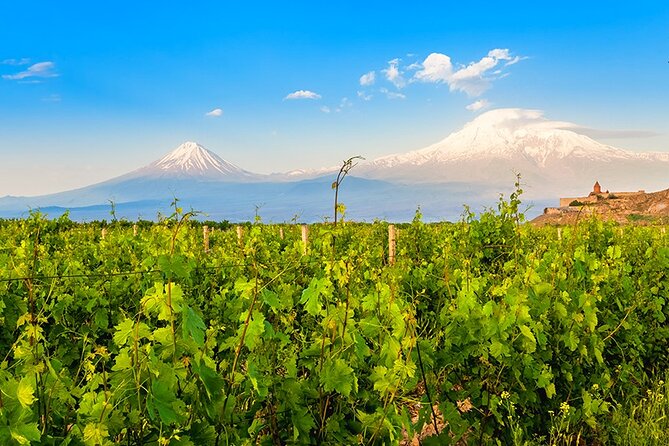 Tatev & Shaki Waterfall Guided Group Tour with Wine Tasting - Areni turns the final major stop into a tasting
