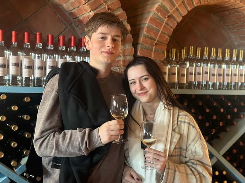 Tbilisi: Kakheti Wine Region Tour with 10 Wine Tastings - The First Pour: Kakhetian Traditional Winemaking
