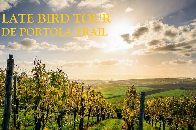 Temecula's Premier Wine Tasting Tour - Why this Temecula tour works well