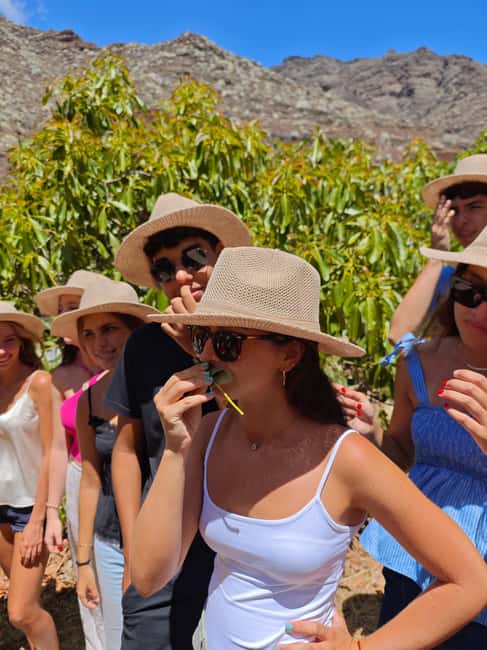 Tenerife: Avocado Farm Tour with Tasting Menu & Wine - Arriving at Finca Coviella from Santa Cruz