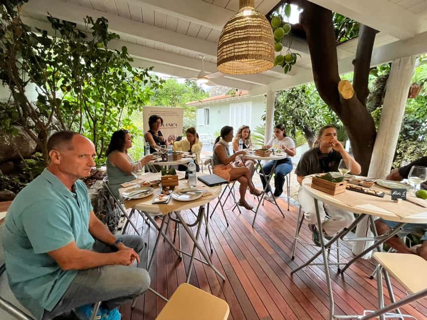 Tenerife: Avocado Farm Tour with Tasting Menu & Wine - What the farm walk adds to the tasting