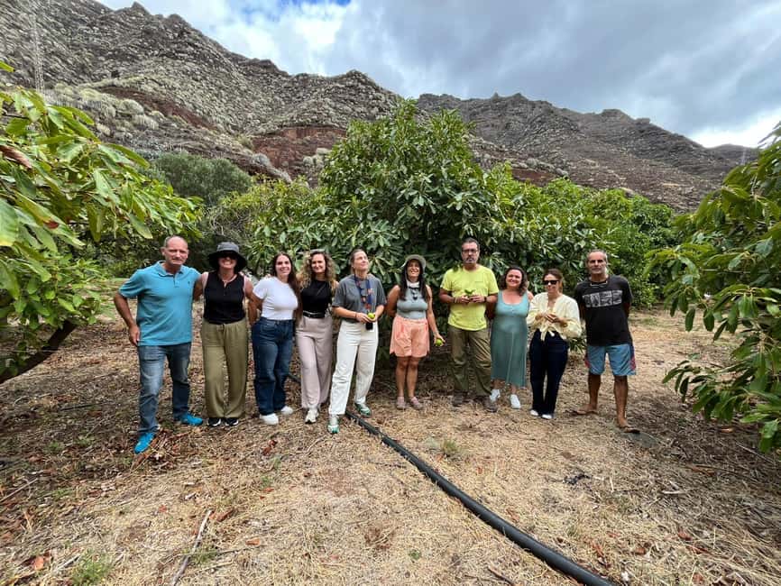 Tenerife: Avocado Farm Tour with Tasting Menu & Wine - Practical booking advice for Santa Cruz