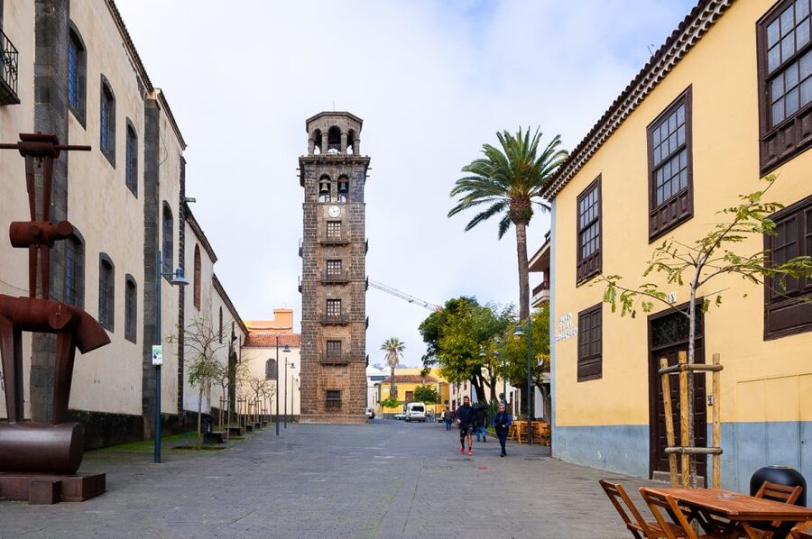 Tenerife: Full-Day Gastronomy and Wine Tour - Why this tour works beyond the wine glass