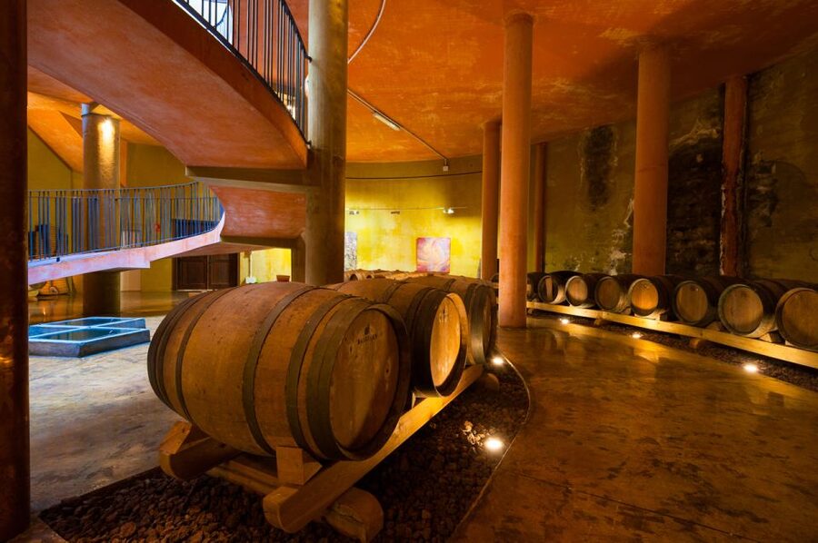 Tenerife: Full-Day Gastronomy and Wine Tour - Casa del Vino and the first cheese tasting