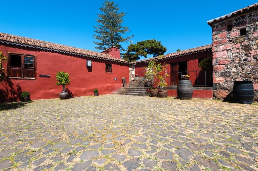 Tenerife: Full-Day Gastronomy and Wine Tour - How much wine will you actually taste?