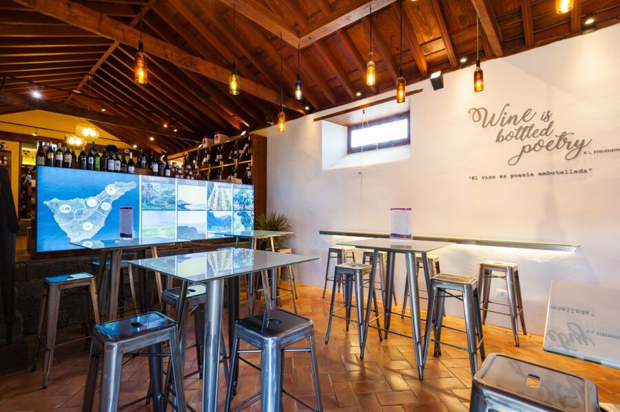 Tenerife: Full-Day Gastronomy and Wine Tour - The guide can make or break the rhythm