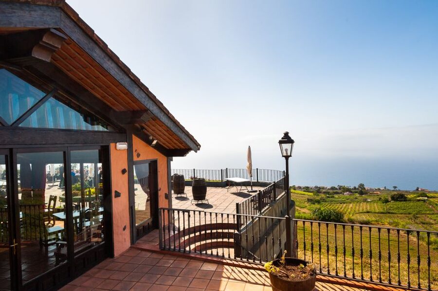 Tenerife: Full-Day Gastronomy and Wine Tour - Who gets the best value from $97?