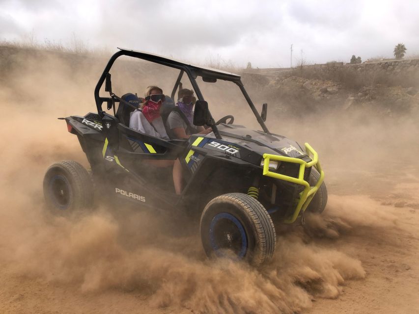 Tenerife: Volcano Teide Buggy Tour with Wine Tasting & Tapas - What the three-hour Teide experience is really like