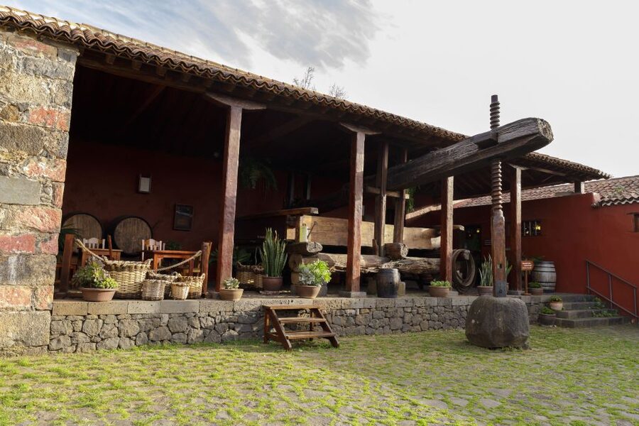 Tenerife: Wine Museum Ticket with Local Wines & Food Tasting - Buying Tenerife wine and local products