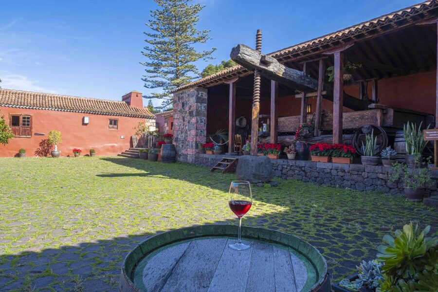 Tenerife: Wine Museum Ticket with Local Wines & Food Tasting - Practical advice for a smooth visit