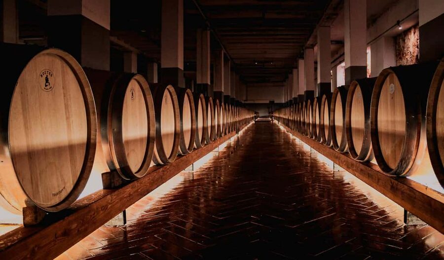 Tenute Girolamo: Winery tour and Premium Tasting in the Itria Valley - Key points at a glance